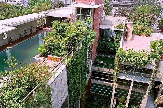 Roof-Garden