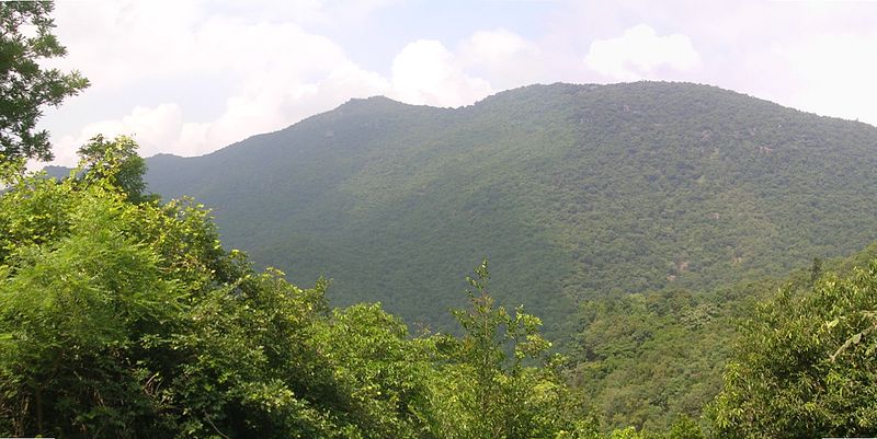 ஜவ்வாது மலை
